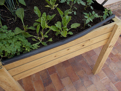Make a Reaised Vegetable Garden 26