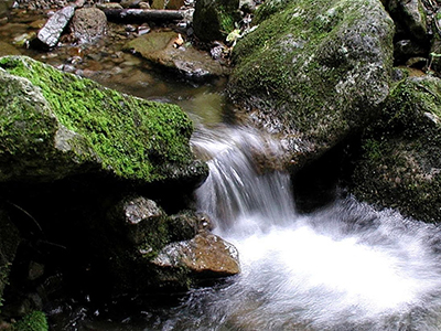 Go off the Grid Hack 7