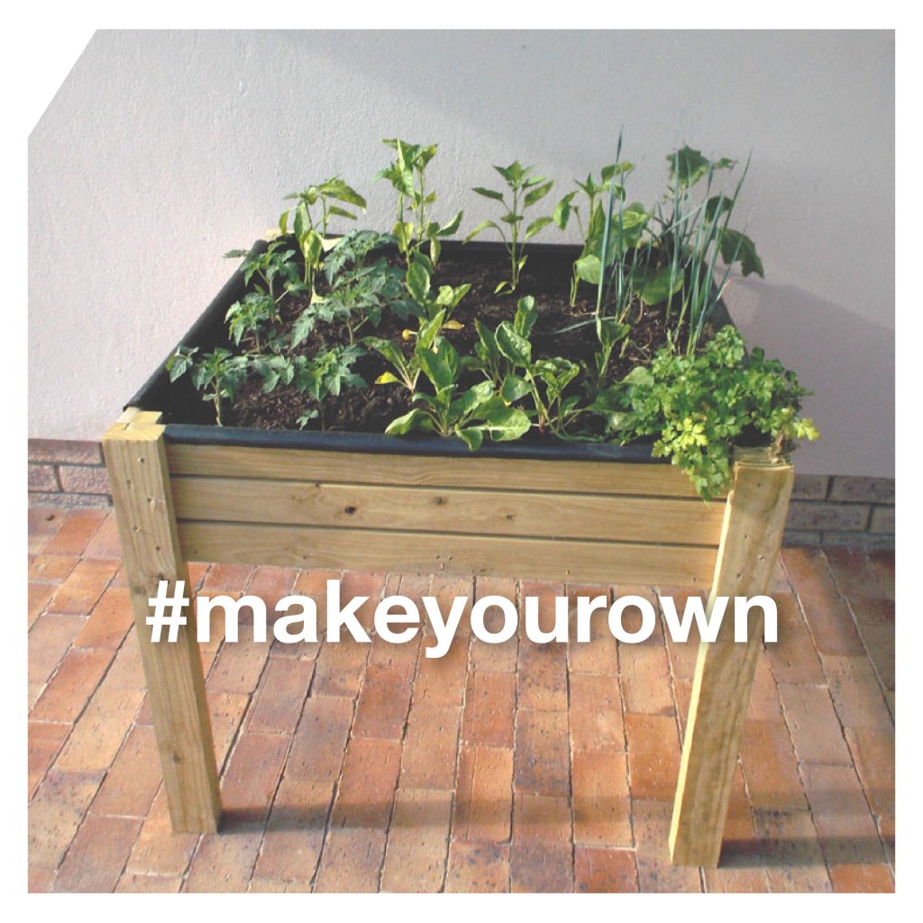 Grow a Veggie Garden