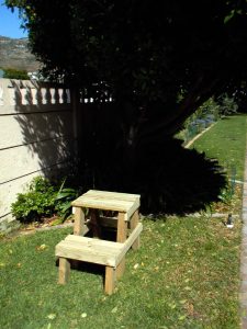 Garden Step 2 Step 8