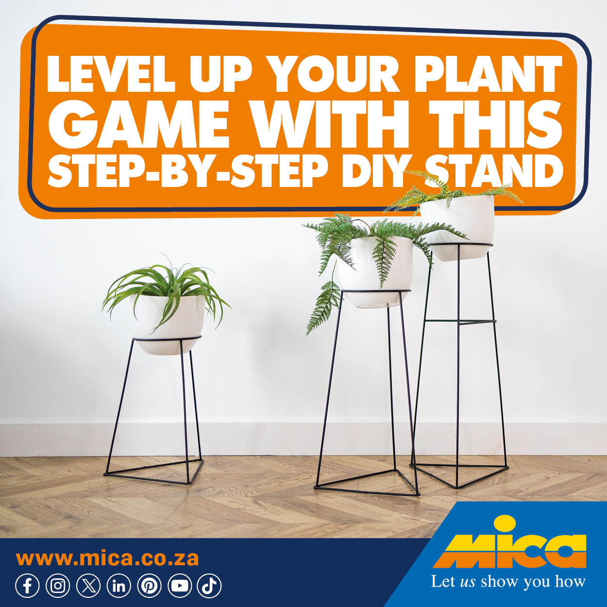 How’s this for a grand stand?